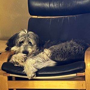 Meet your Posher, Anne